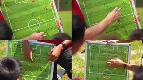 荷兰混合接力短道速滑创世界最佳纪录——新华通讯社讯